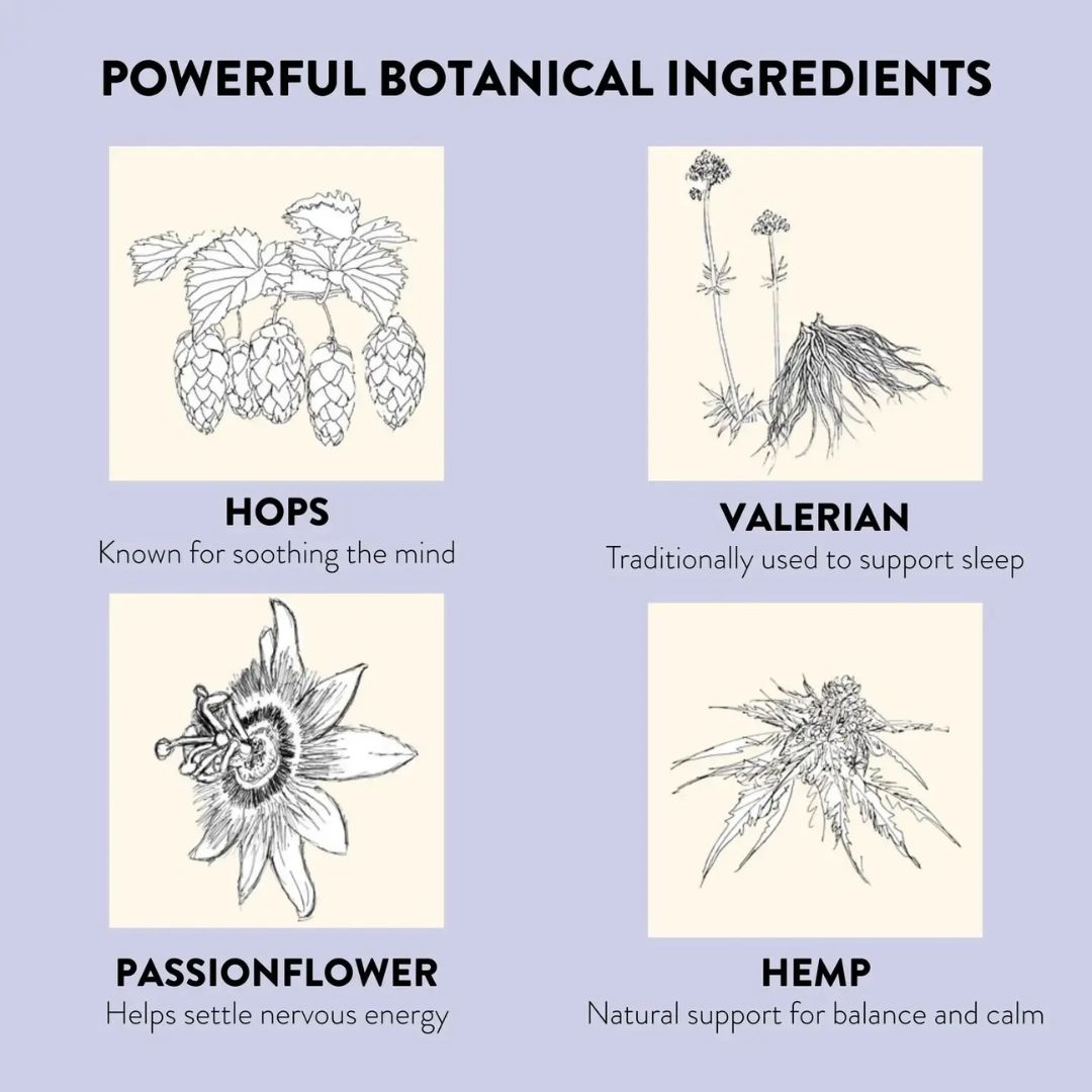 Wholesale Natural Sleep Aid Patches – Valerian, Hops, Passionflower & CBD for Deep Sleep Support