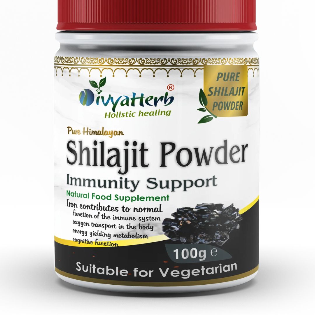 DivyaHerb Shilajit Powder 100g – Natural Mineral-Rich Daily Vitality & Wellness Support Supplement