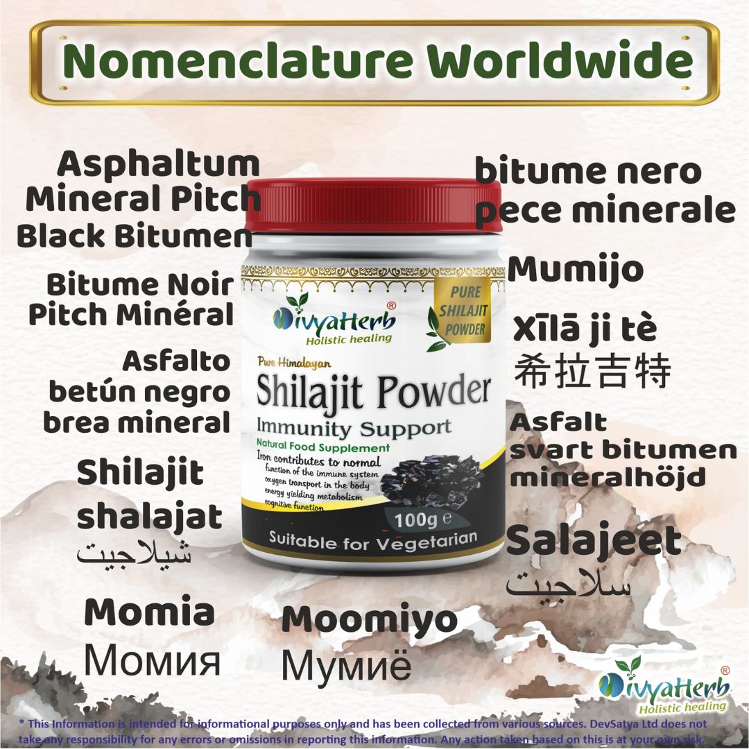 DivyaHerb Shilajit Powder 100g – Natural Mineral-Rich Daily Vitality & Wellness Support Supplement