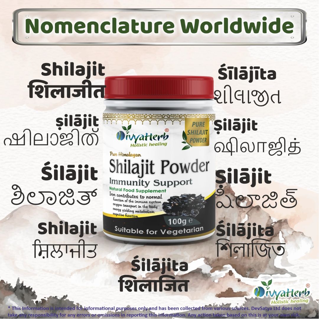 DivyaHerb Shilajit Powder 100g – Natural Mineral-Rich Daily Vitality & Wellness Support Supplement