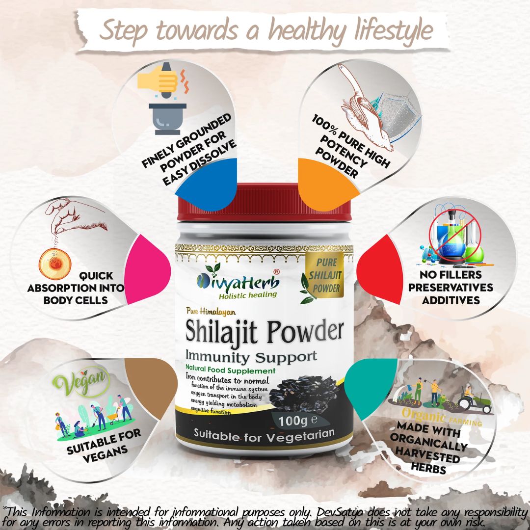 DivyaHerb Shilajit Powder 100g – Natural Mineral-Rich Daily Vitality & Wellness Support Supplement