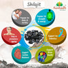 DivyaHerb Shilajit Powder 100g – Natural Mineral-Rich Daily Vitality & Wellness Support Supplement